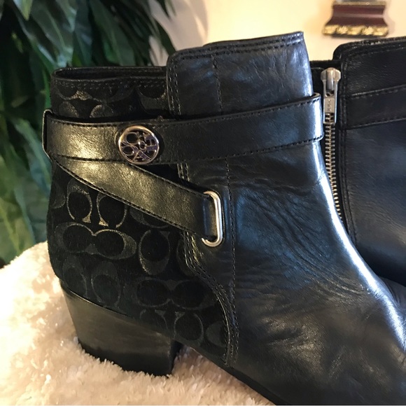 Coach - Picture 11 of 11